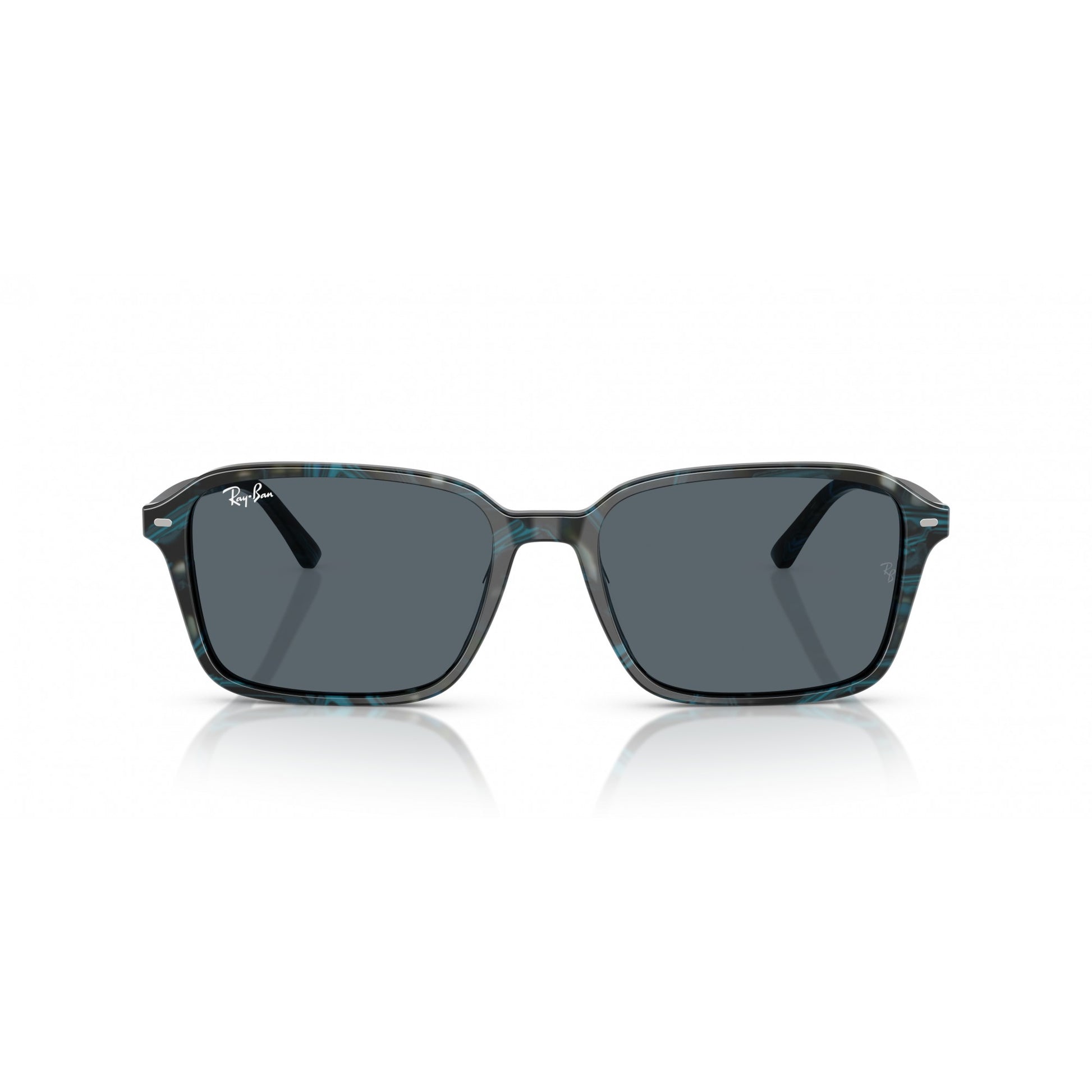 Ray-Ban 0RB2231