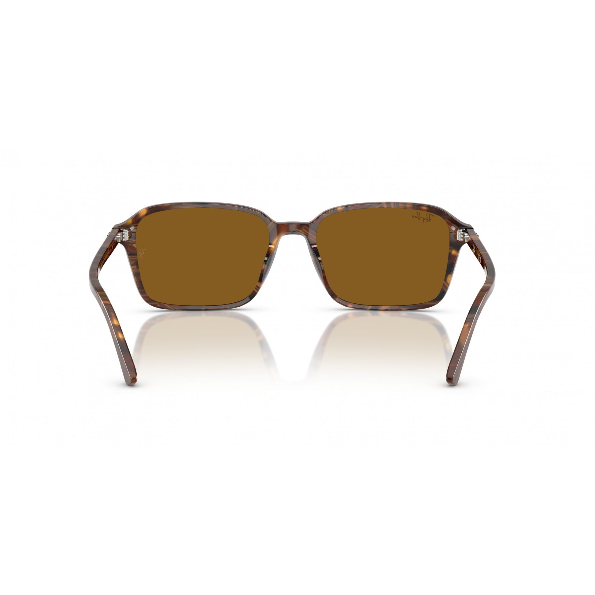 Ray-Ban 0RB2231