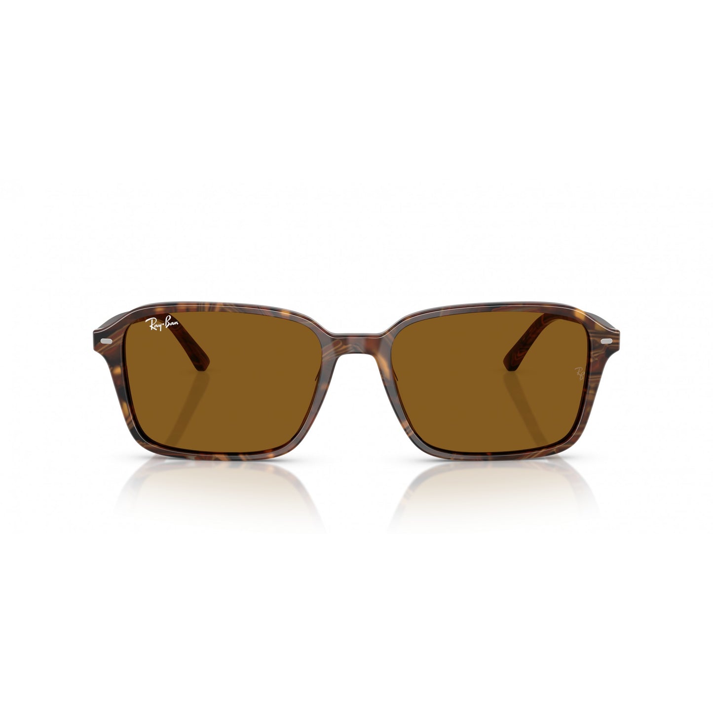 Ray-Ban 0RB2231