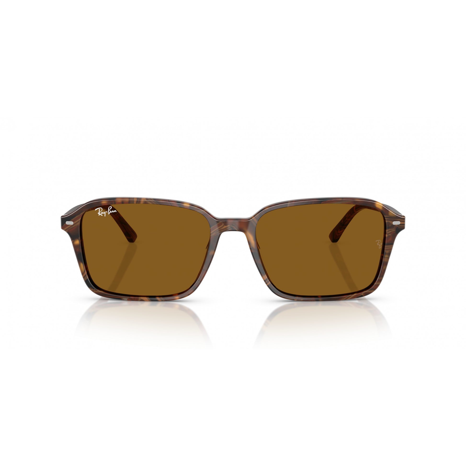 Ray-Ban 0RB2231