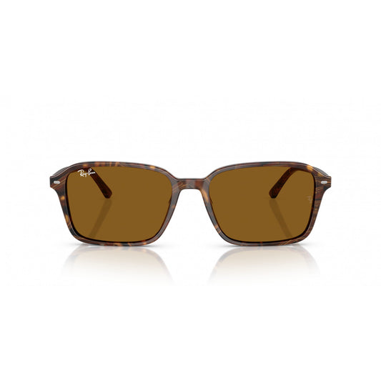 Ray-Ban 0RB2231