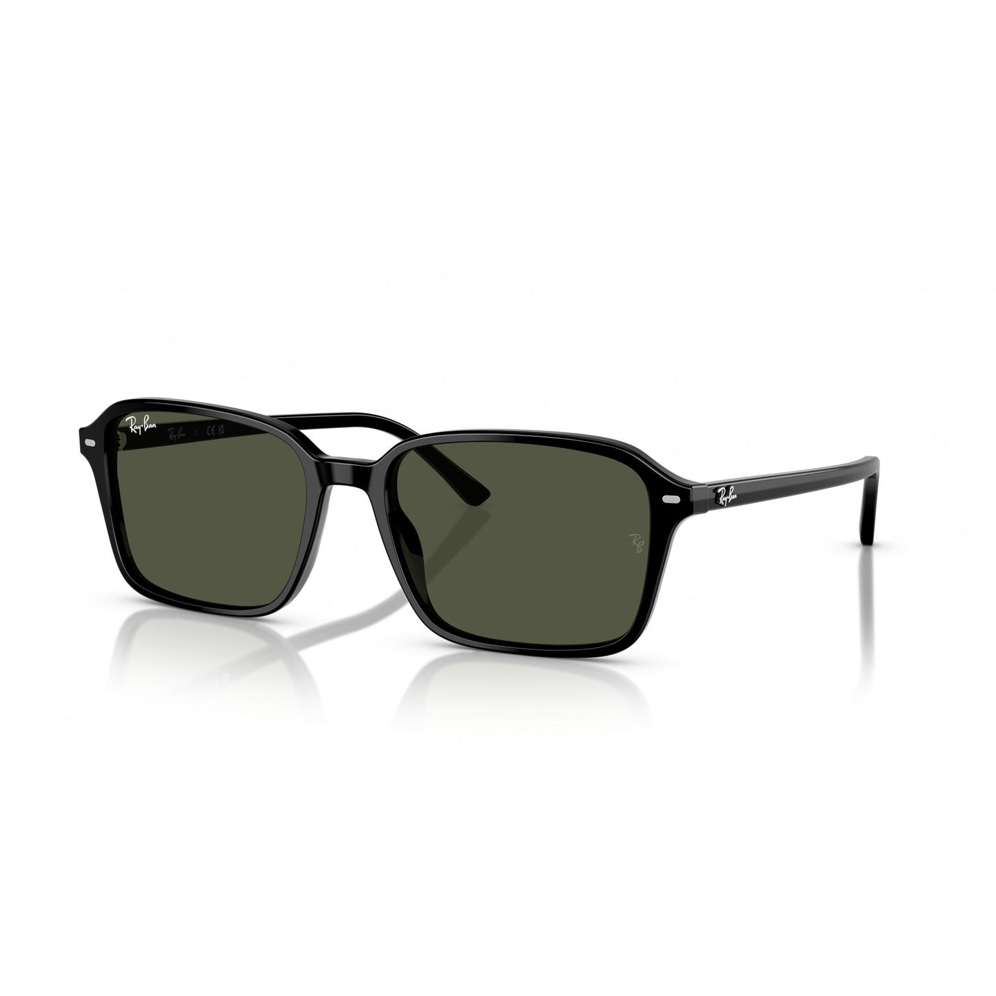 Ray-Ban 0RB2231