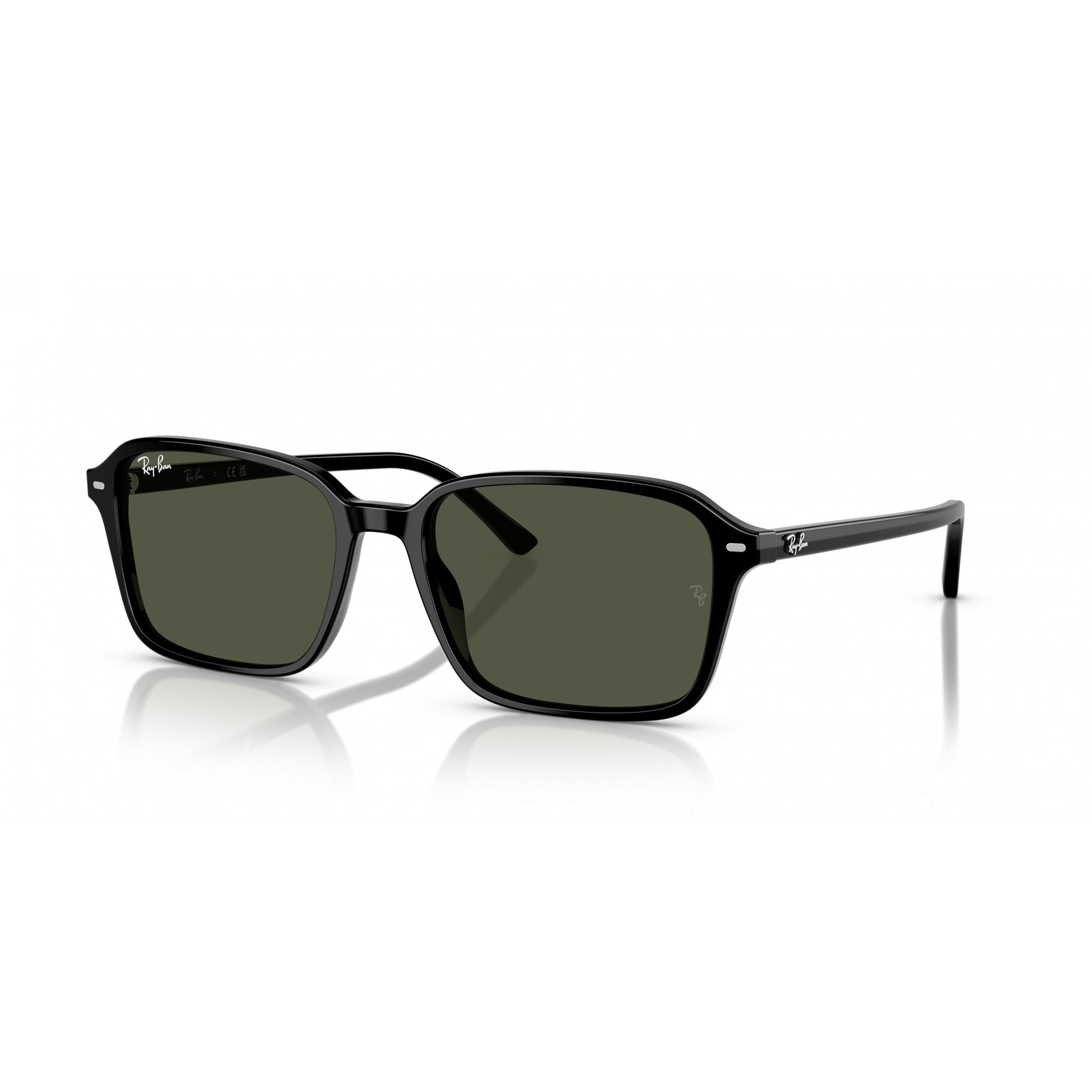 Ray-Ban 0RB2231