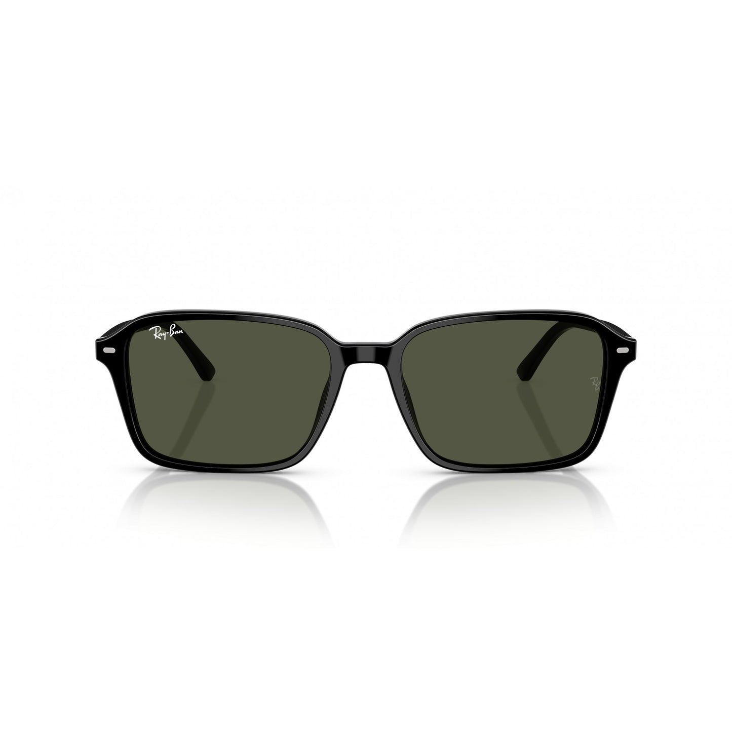 Ray-Ban 0RB2231