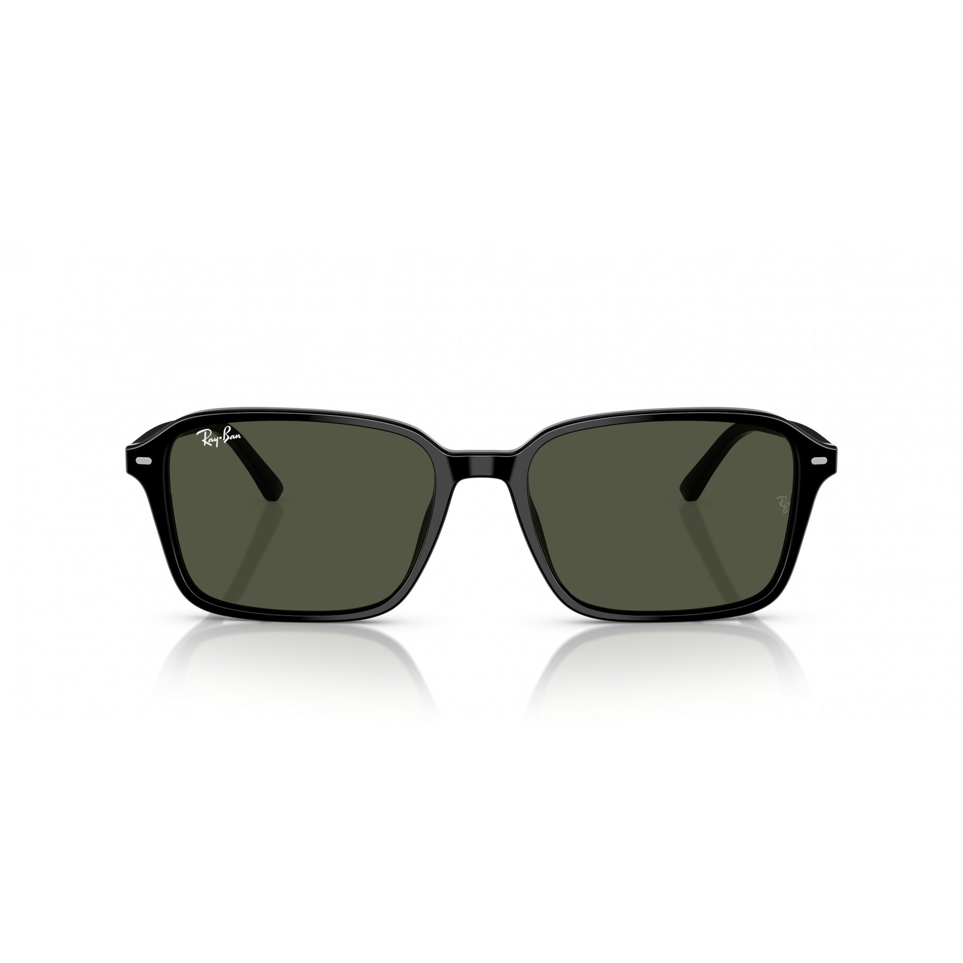 Ray-Ban 0RB2231