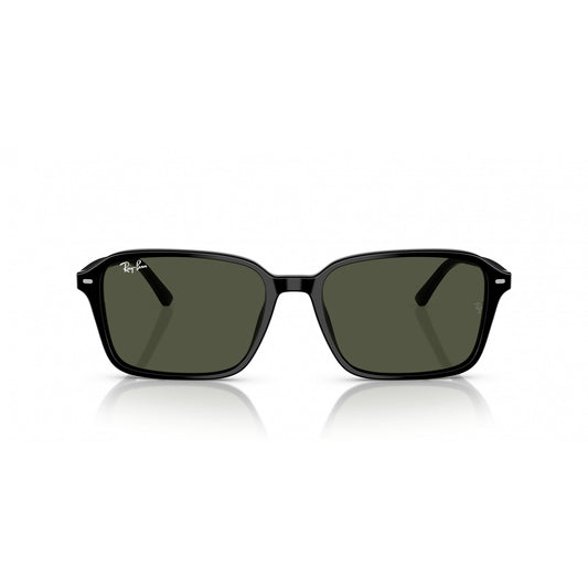 Ray-Ban 0RB2231