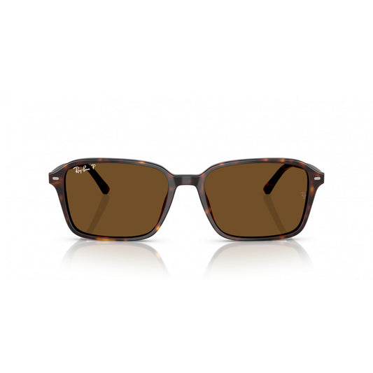 Ray-Ban 0RB2231