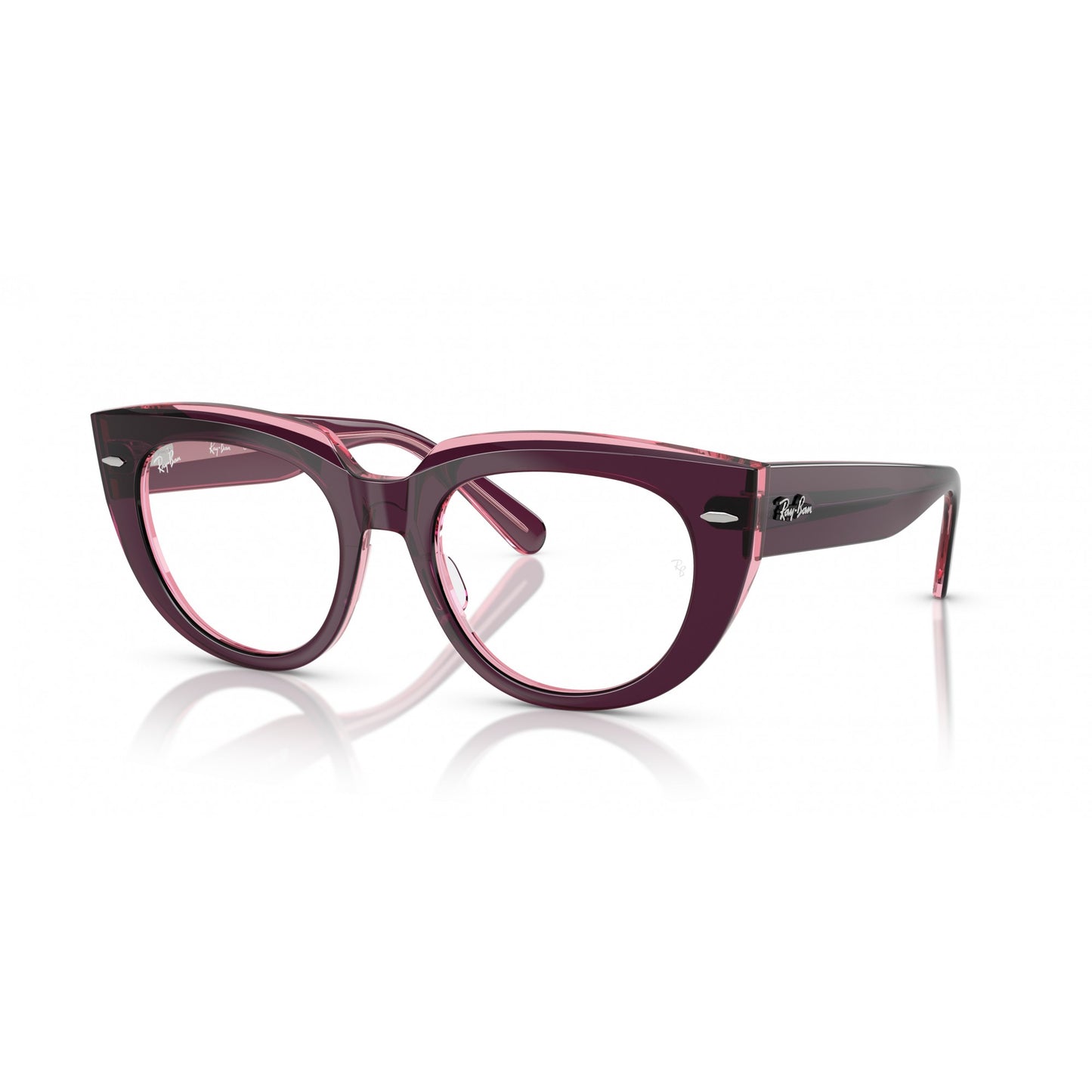 Ray-Ban 0RX5586