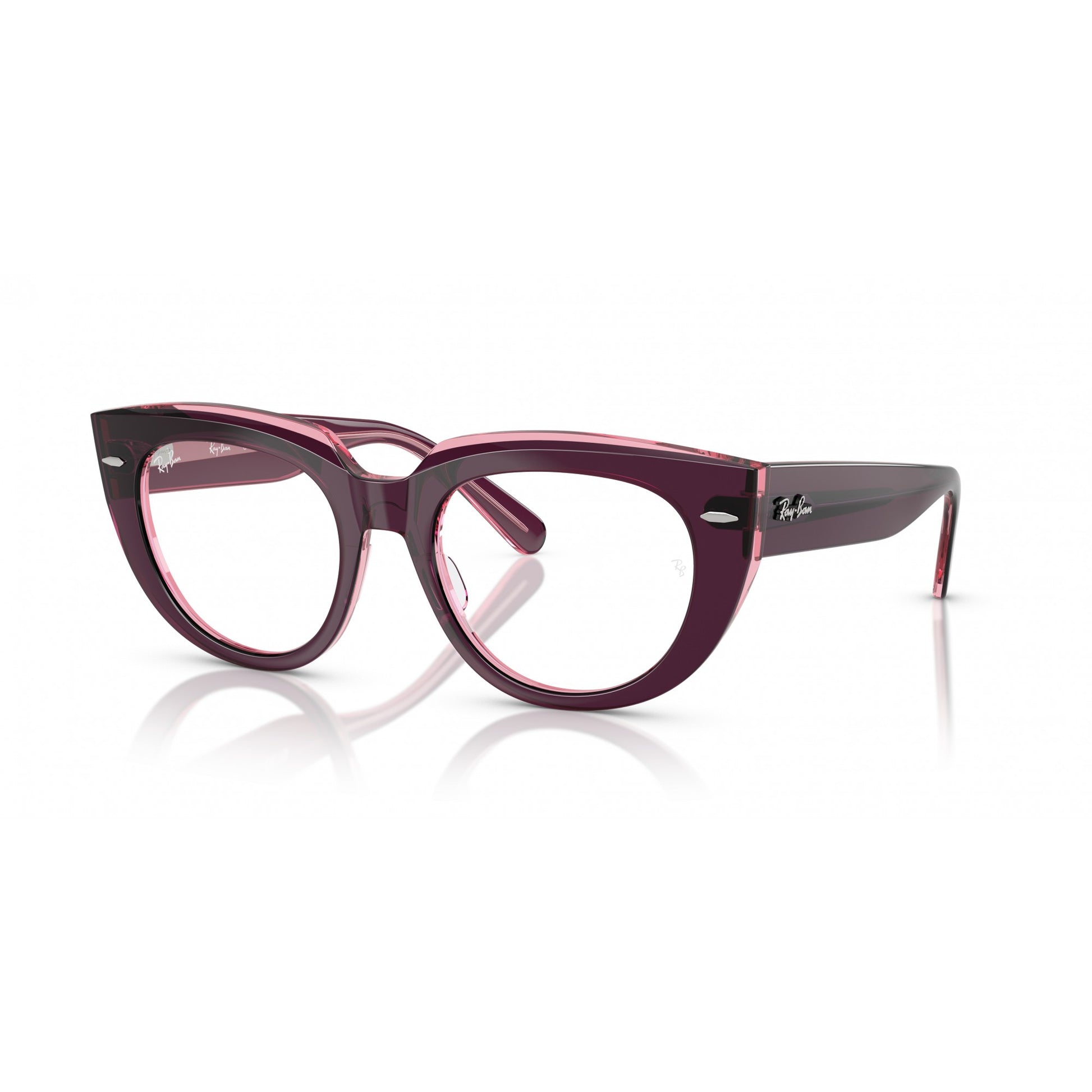 Ray-Ban 0RX5586