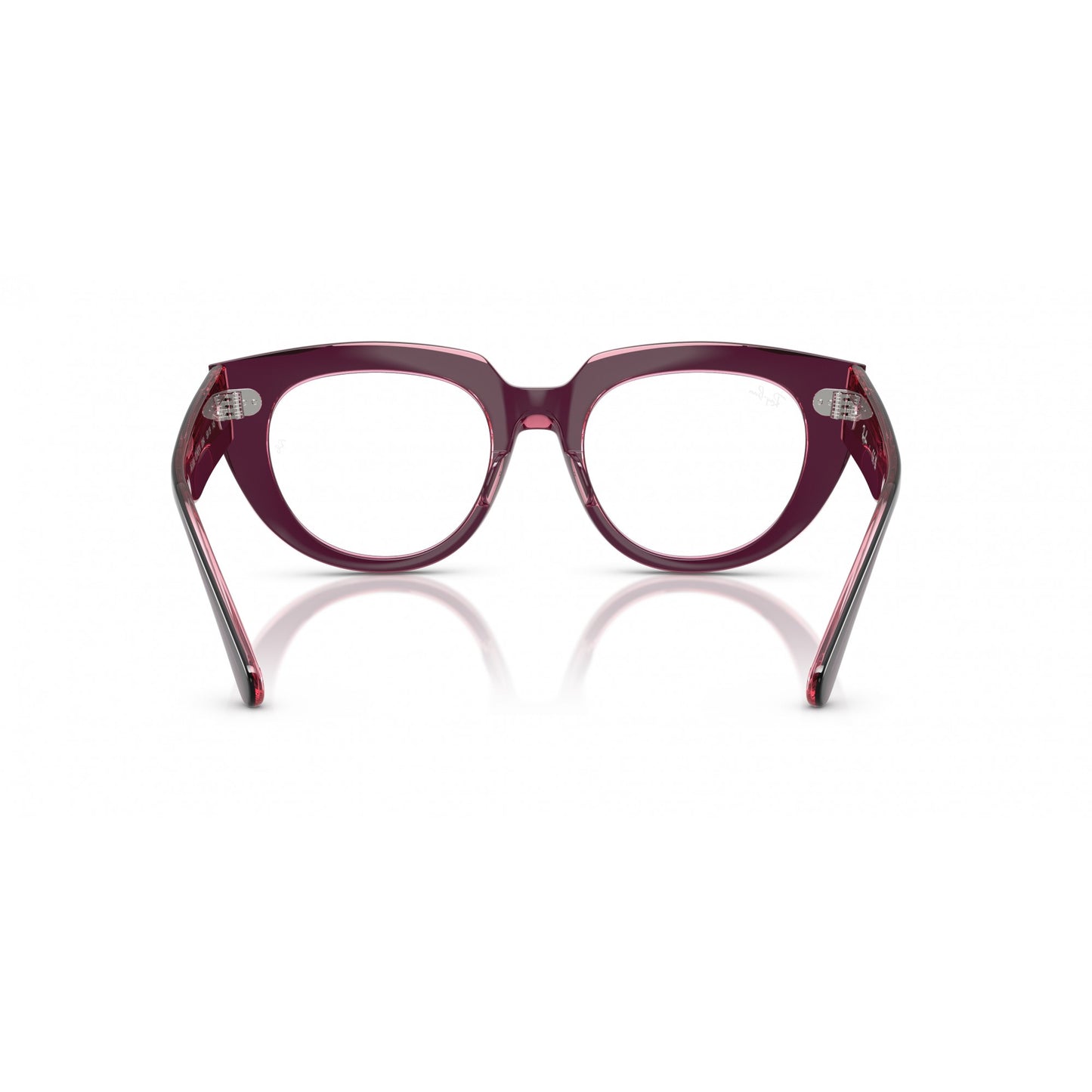 Ray-Ban 0RX5586