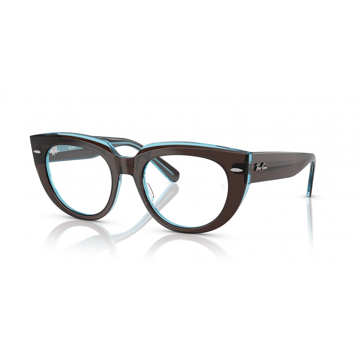 Ray-Ban 0RX5586