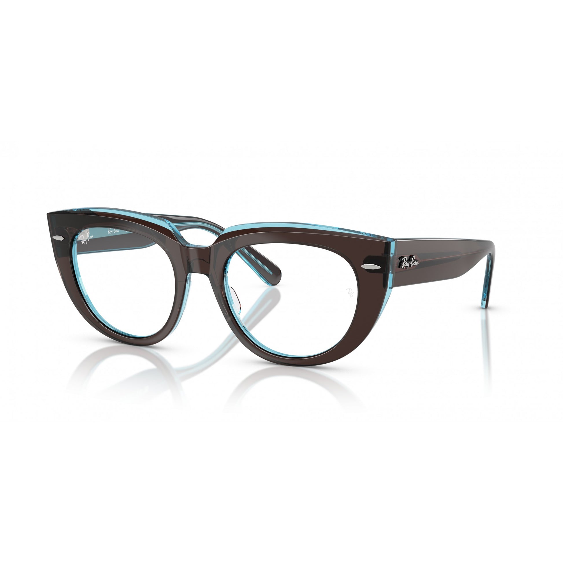 Ray-Ban 0RX5586