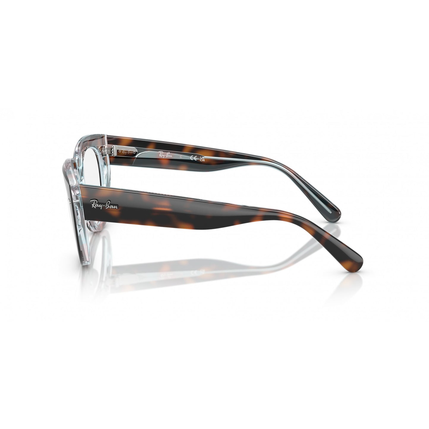 Ray-Ban 0RX5586