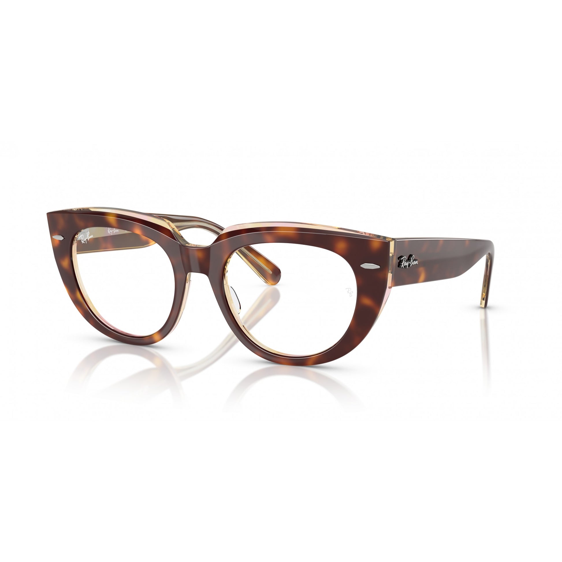 Ray-Ban 0RX5586