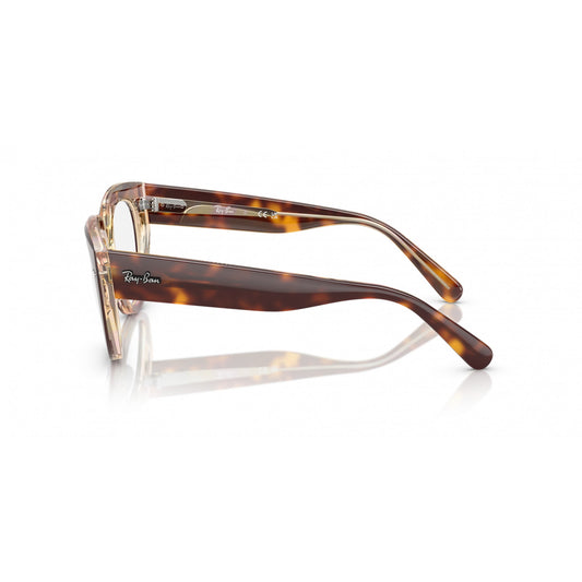 Ray-Ban 0RX5586