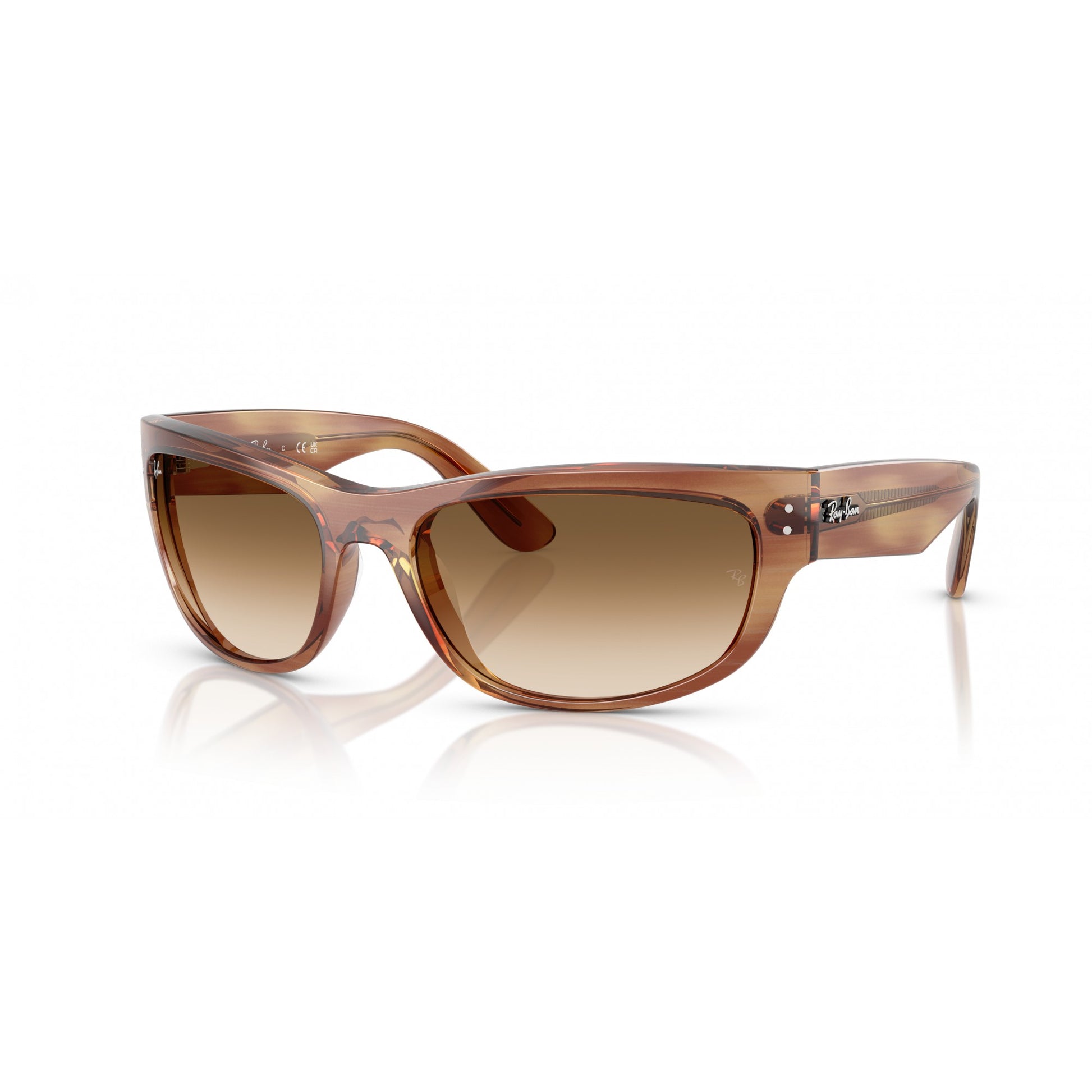 Ray-Ban 0RB2289
