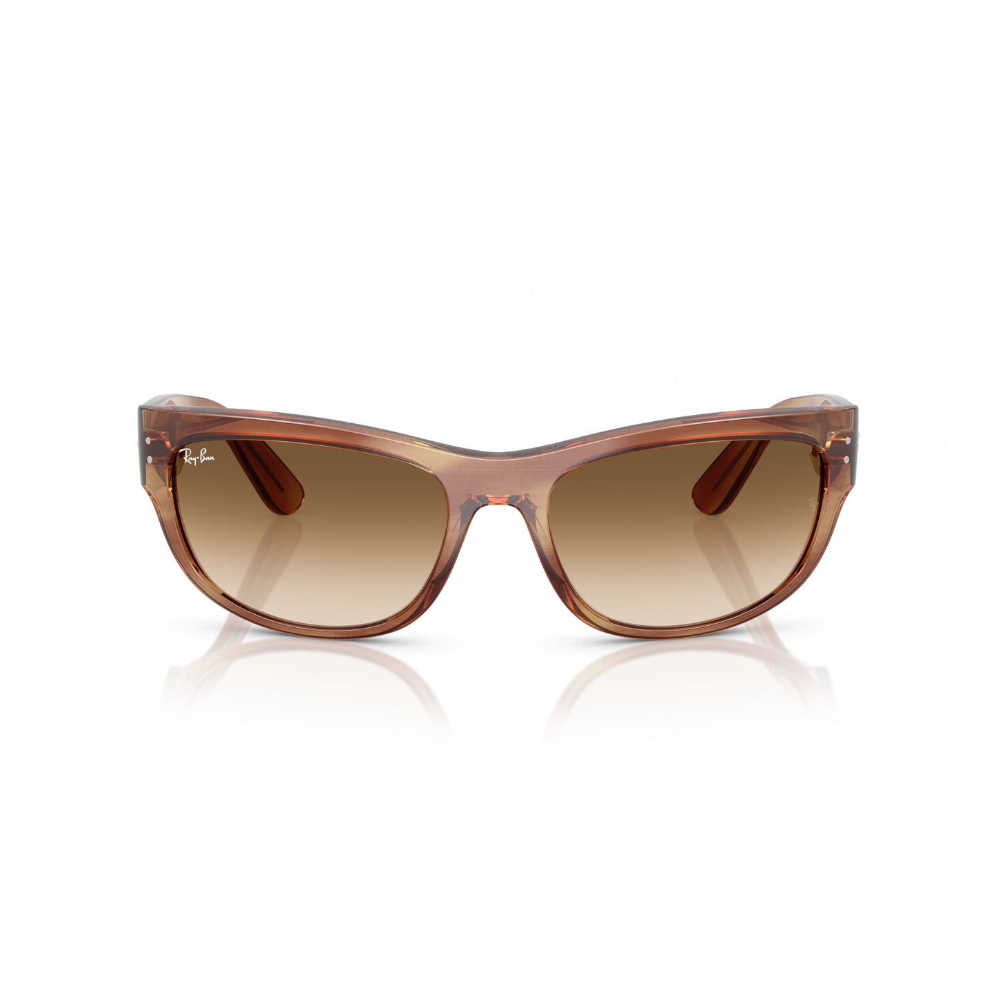 Ray-Ban 0RB2289