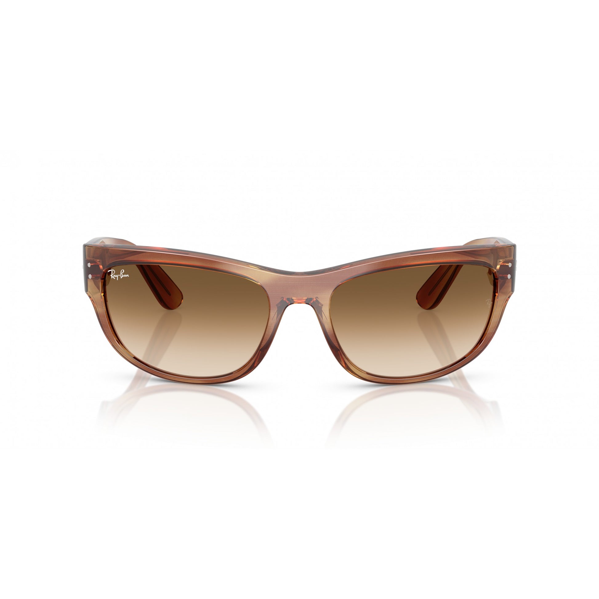 Ray-Ban 0RB2289