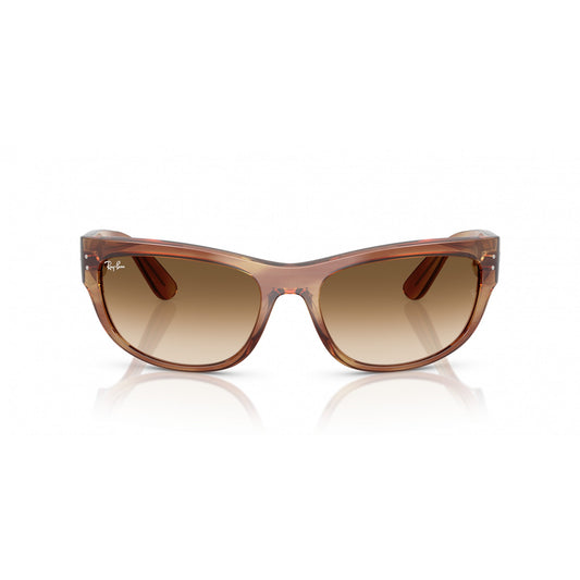 Ray-Ban 0RB2289