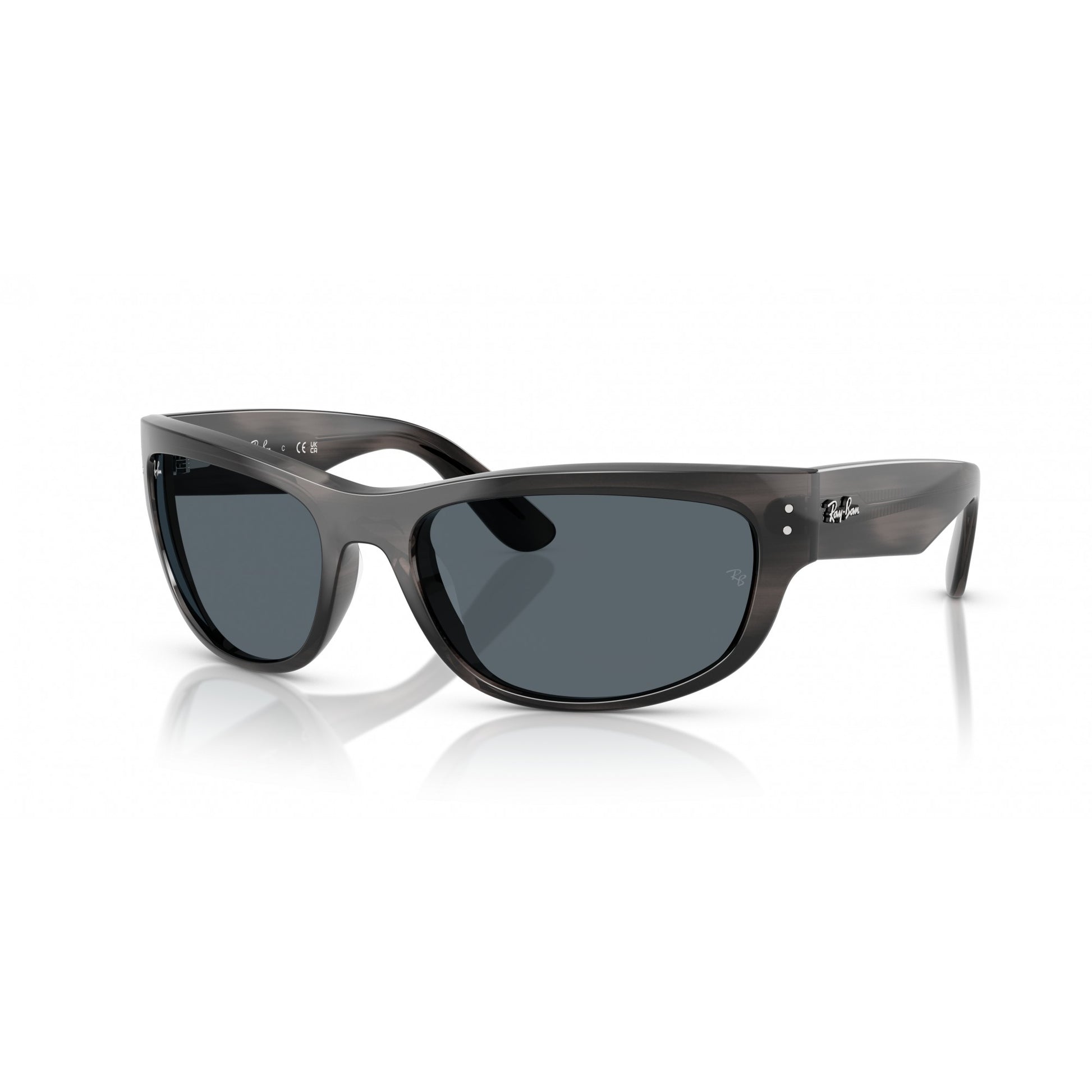 Ray-Ban 0RB2289