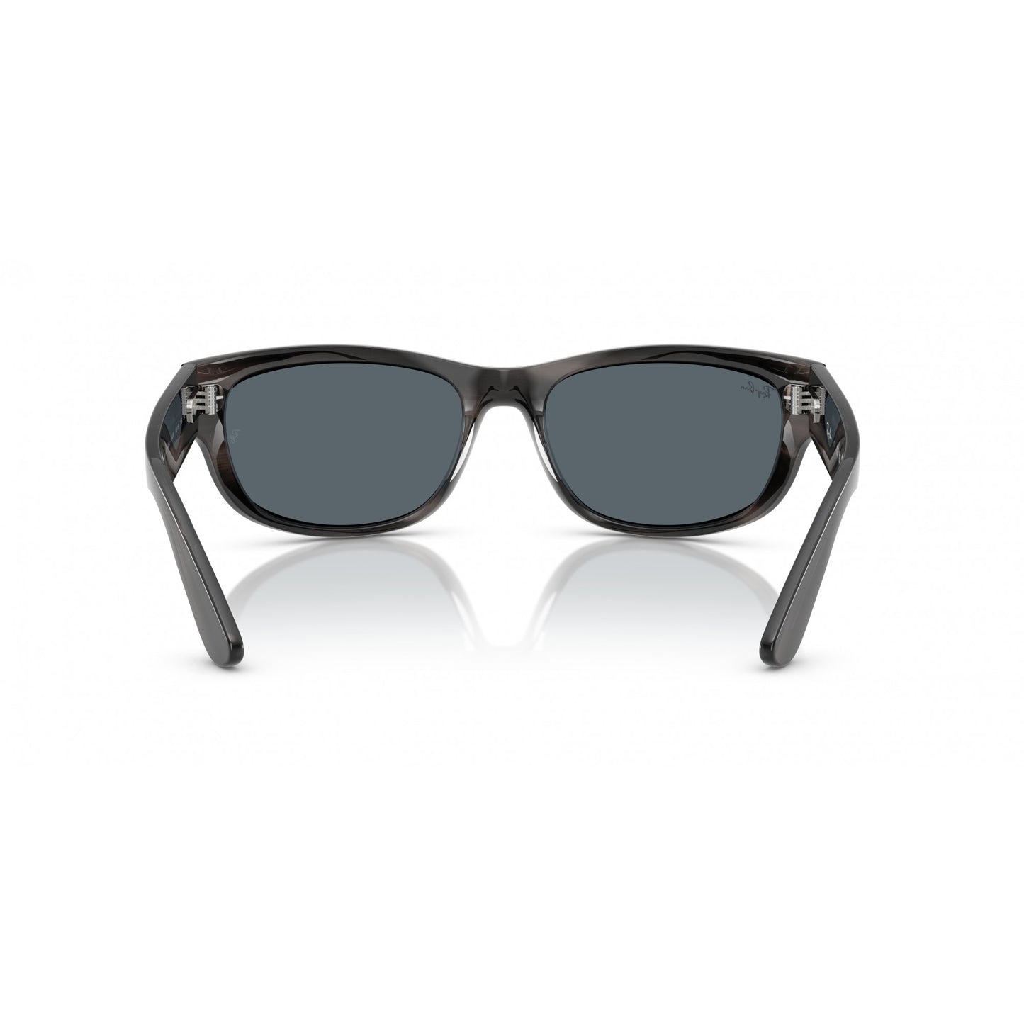 Ray-Ban 0RB2289