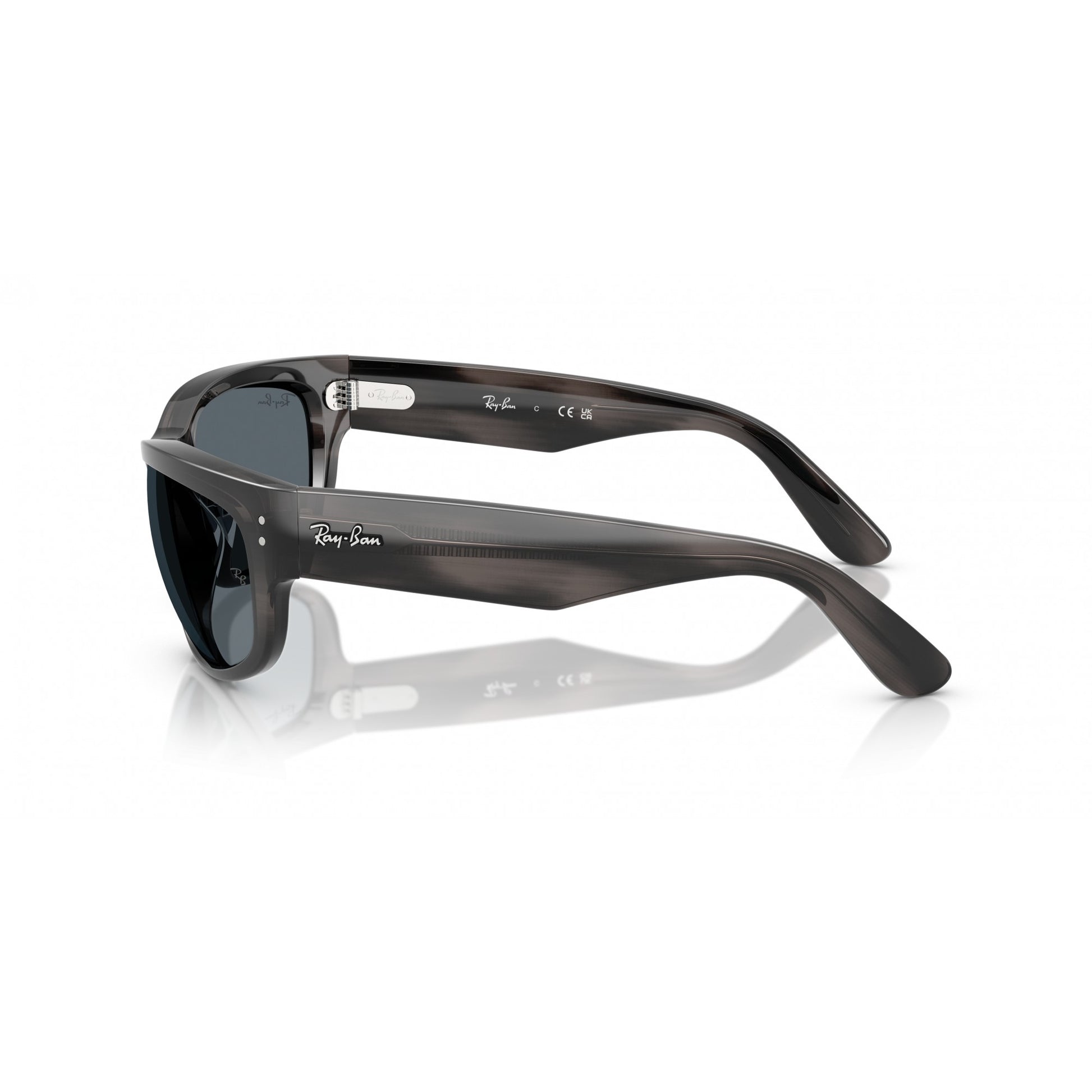 Ray-Ban 0RB2289