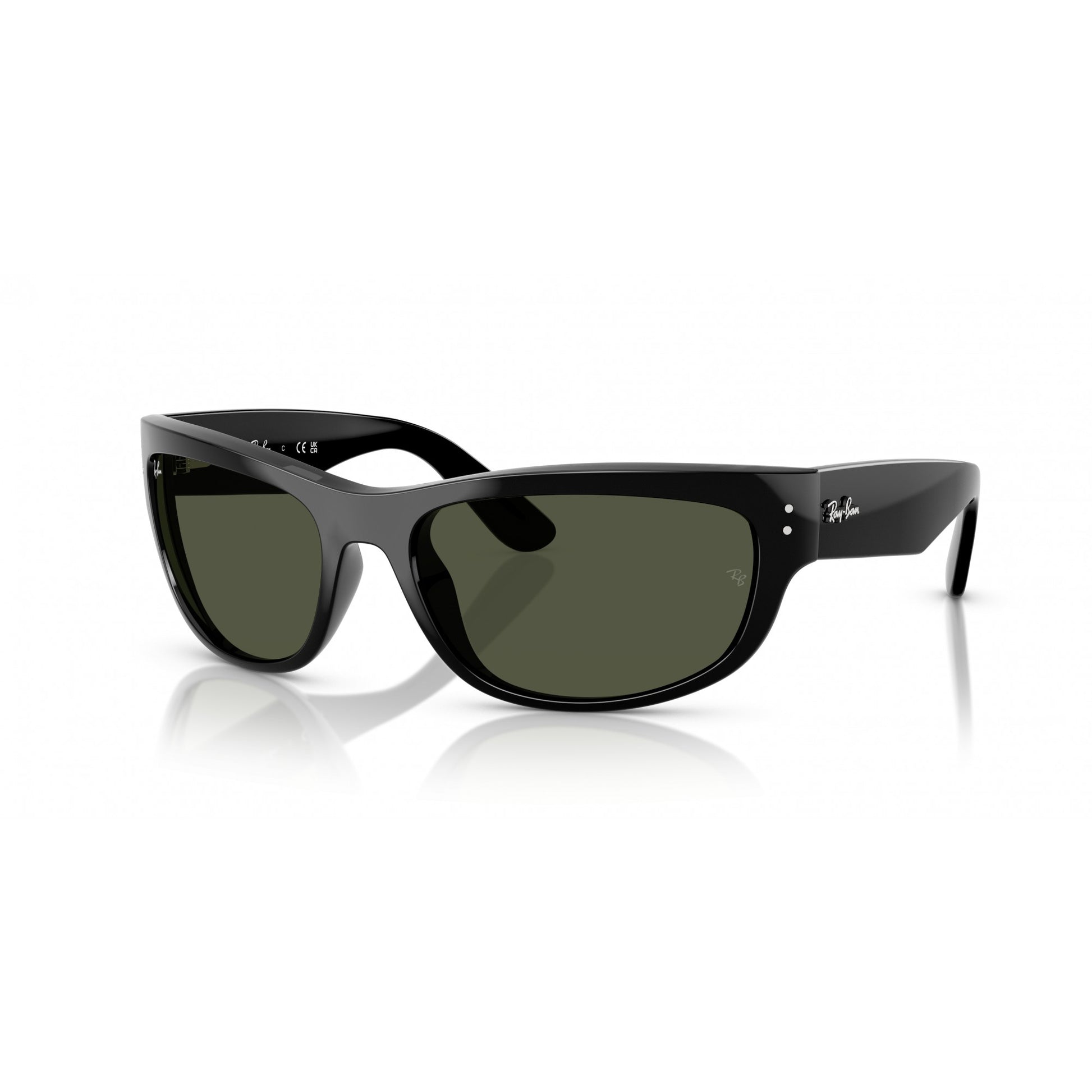 Ray-Ban 0RB2289