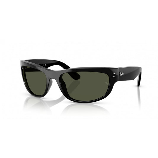 Ray-Ban 0RB2289