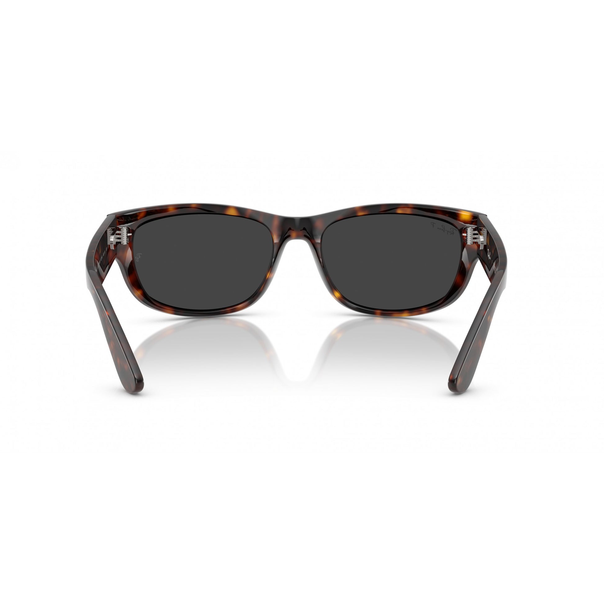 Ray-Ban 0RB2289