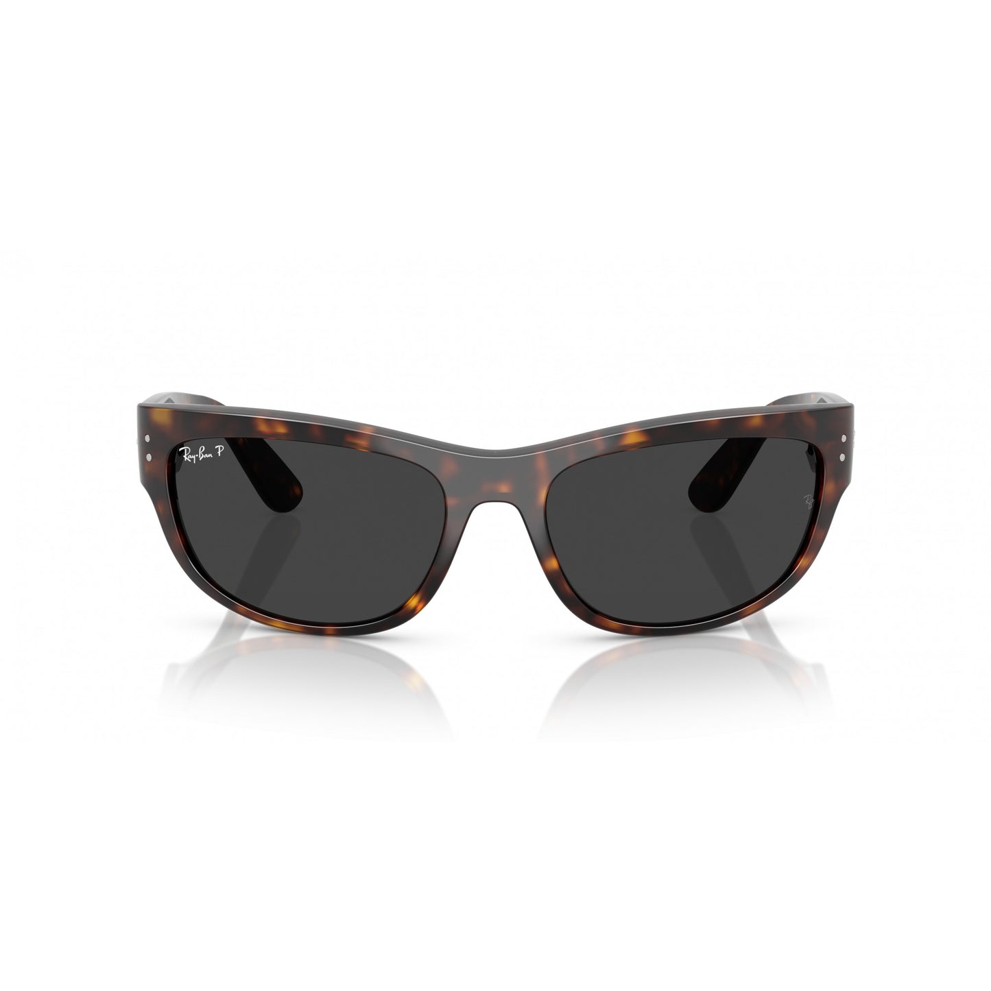 Ray-Ban 0RB2289