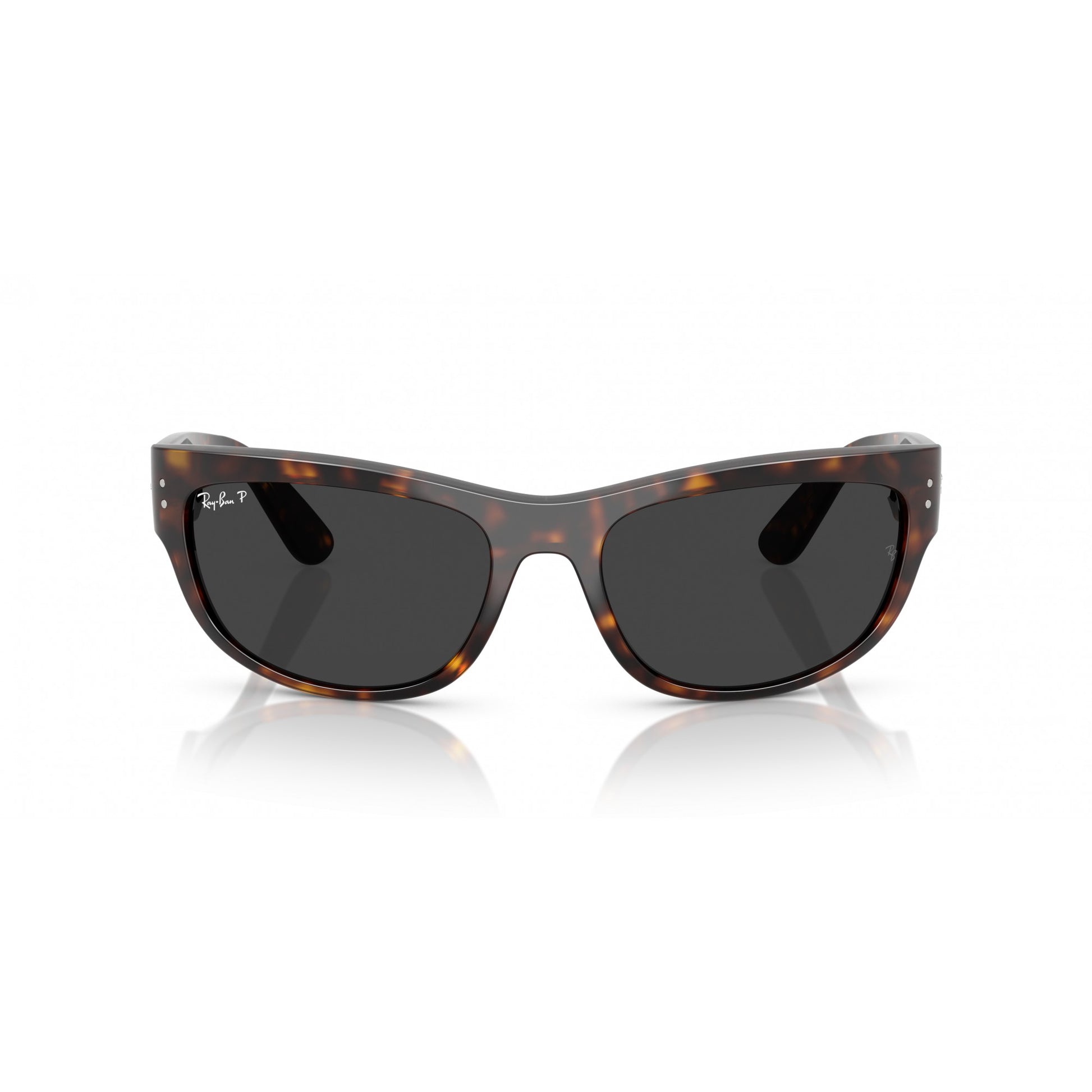 Ray-Ban 0RB2289