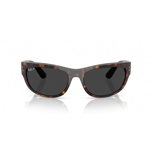 Ray-Ban 0RB2289