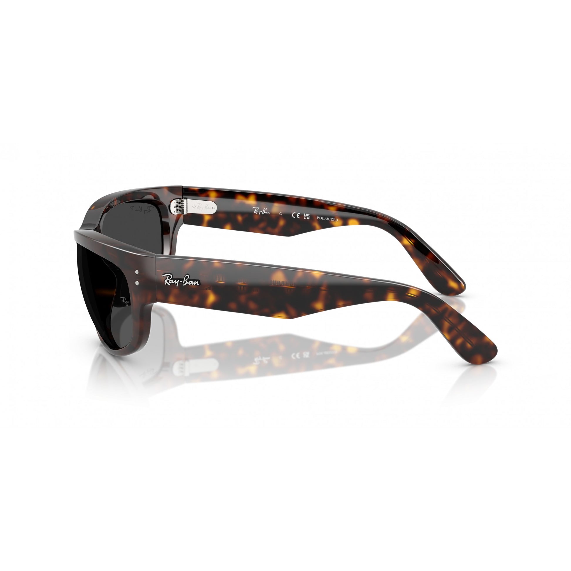 Ray-Ban 0RB2289