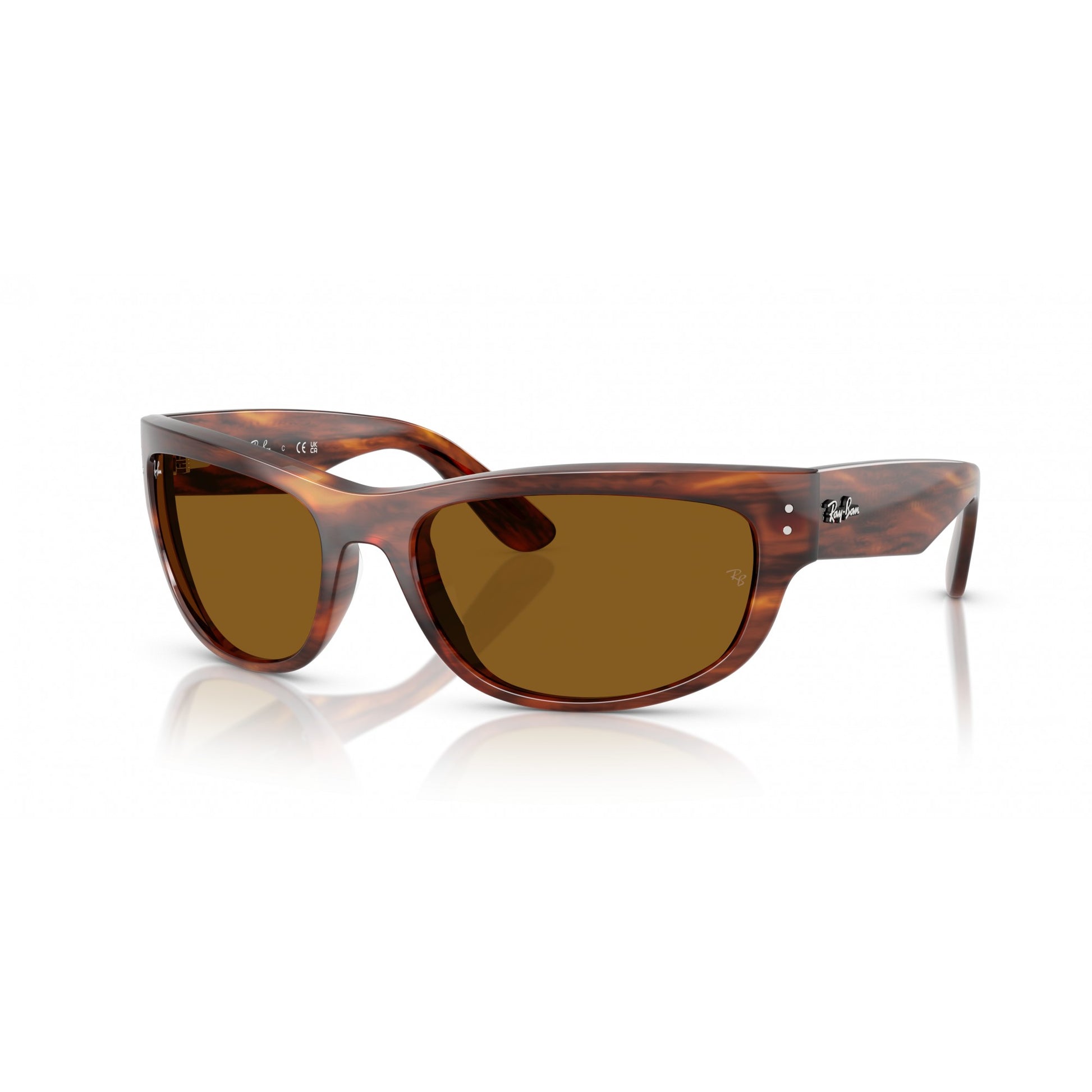 Ray-Ban 0RB2289
