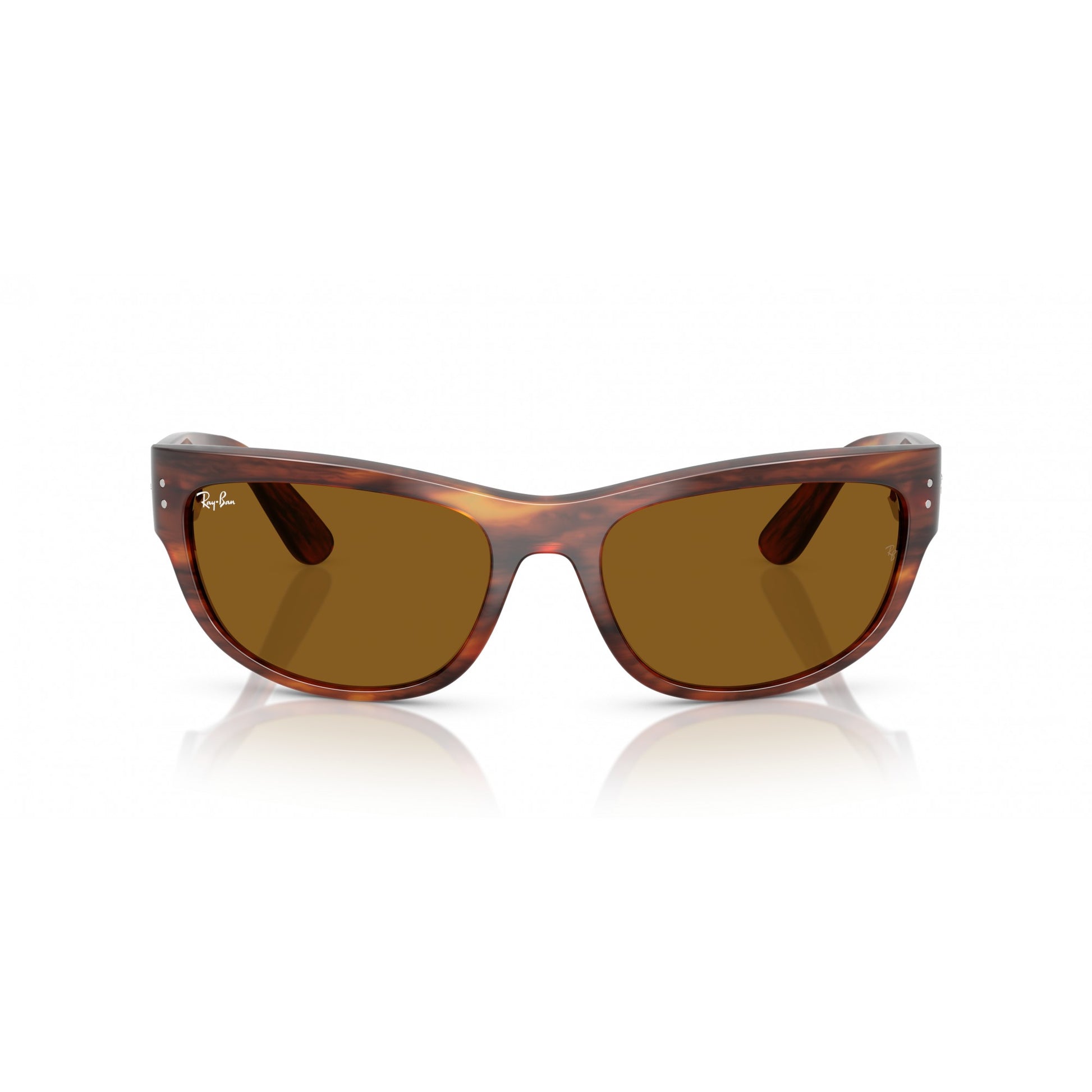 Ray-Ban 0RB2289