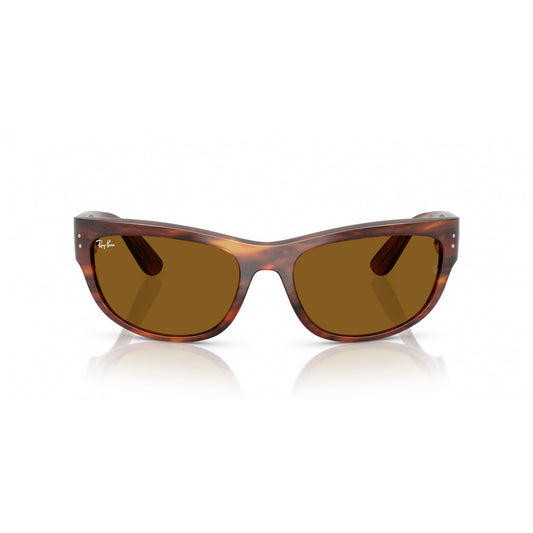 Ray-Ban 0RB2289