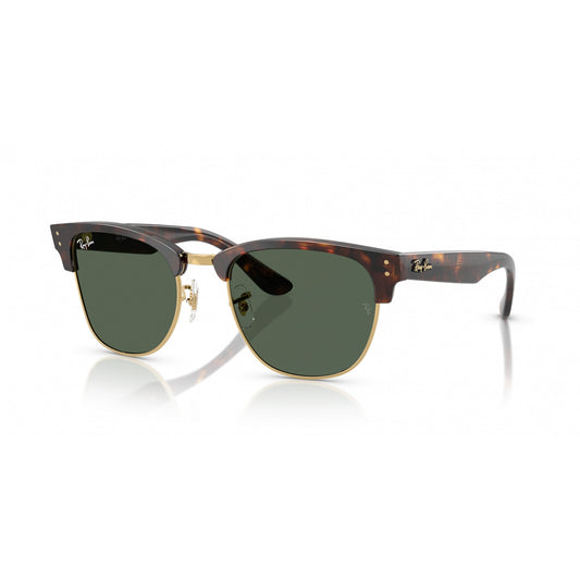 Ray-Ban 0RBR0504S
