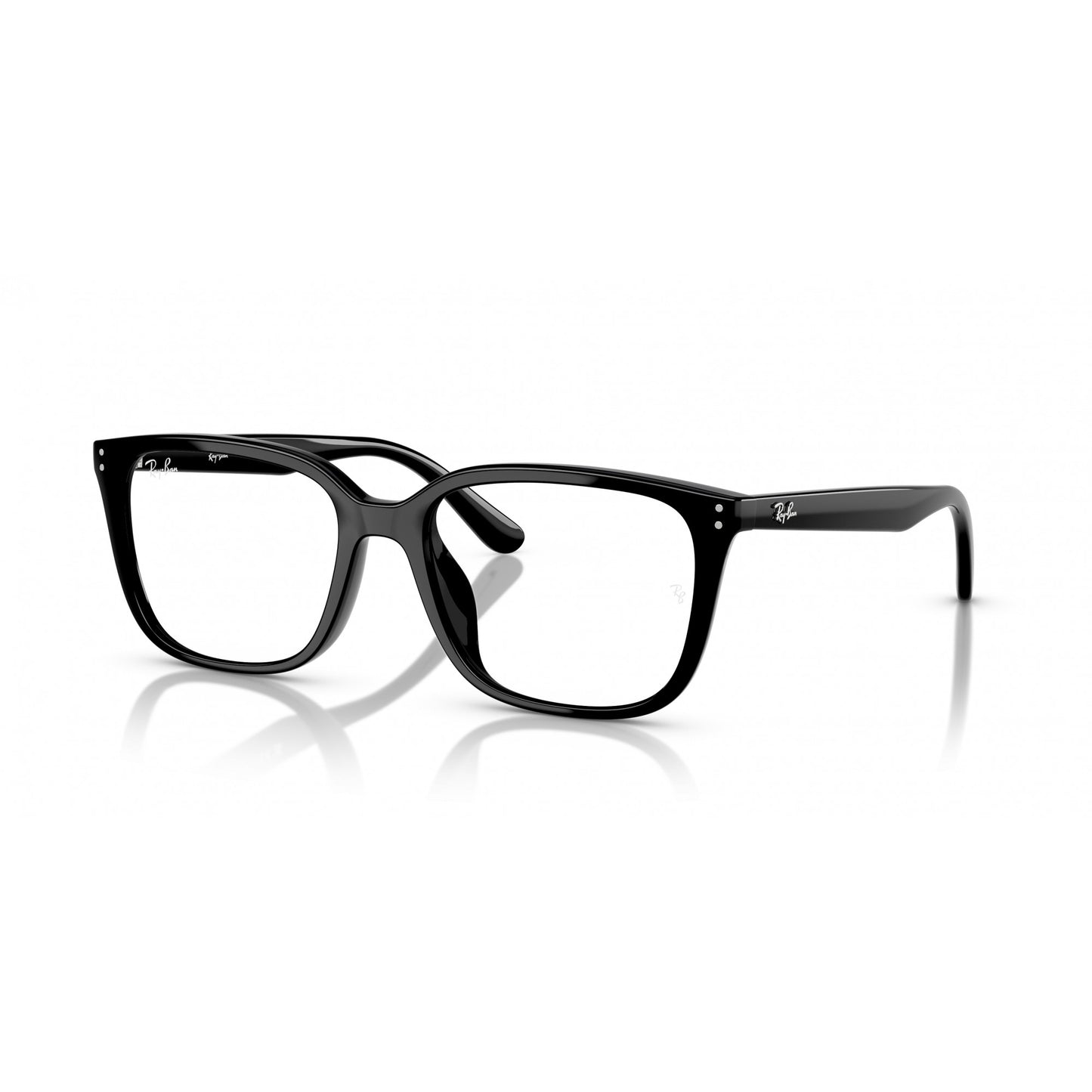 Ray-Ban 0RX7248D