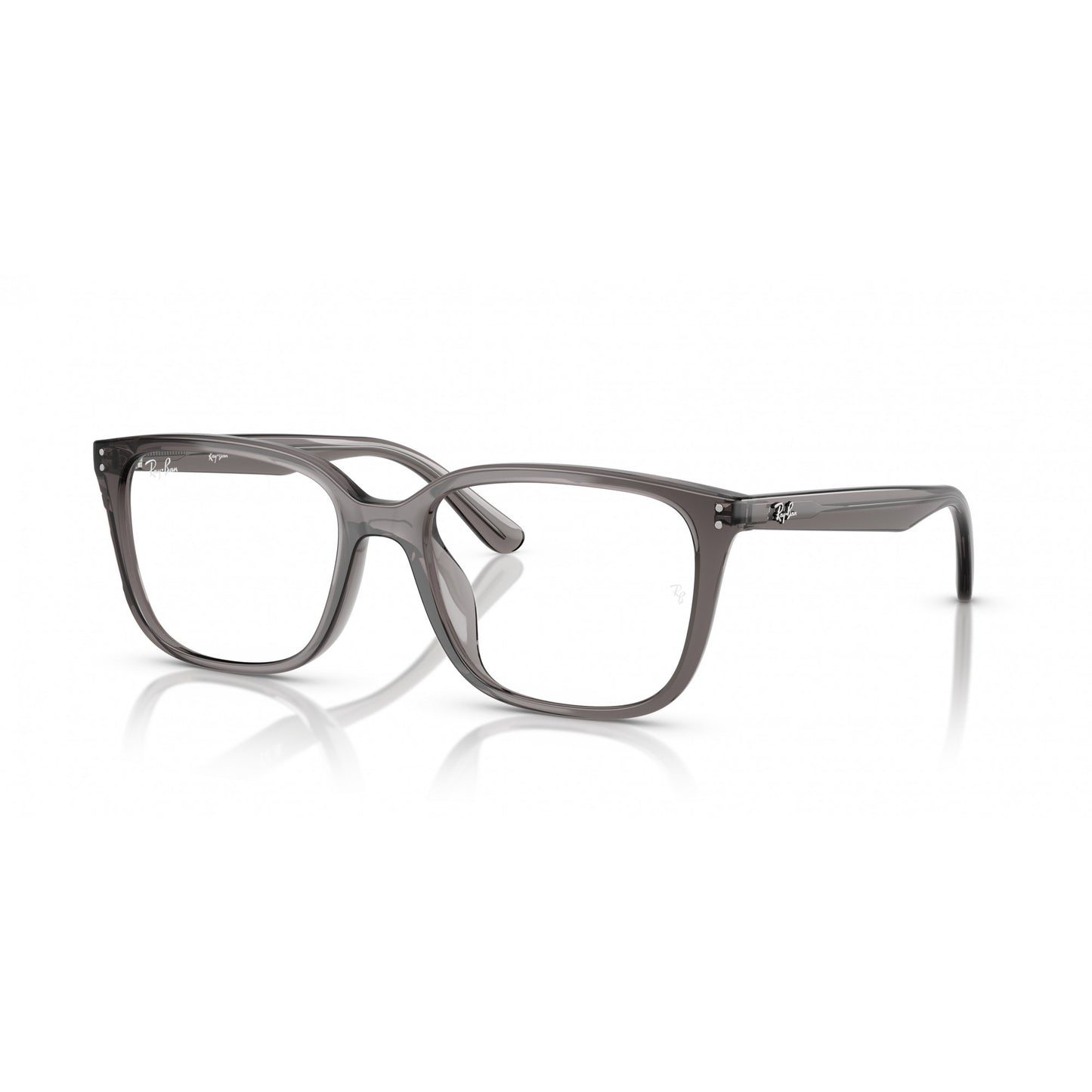 Ray-Ban 0RX7248D
