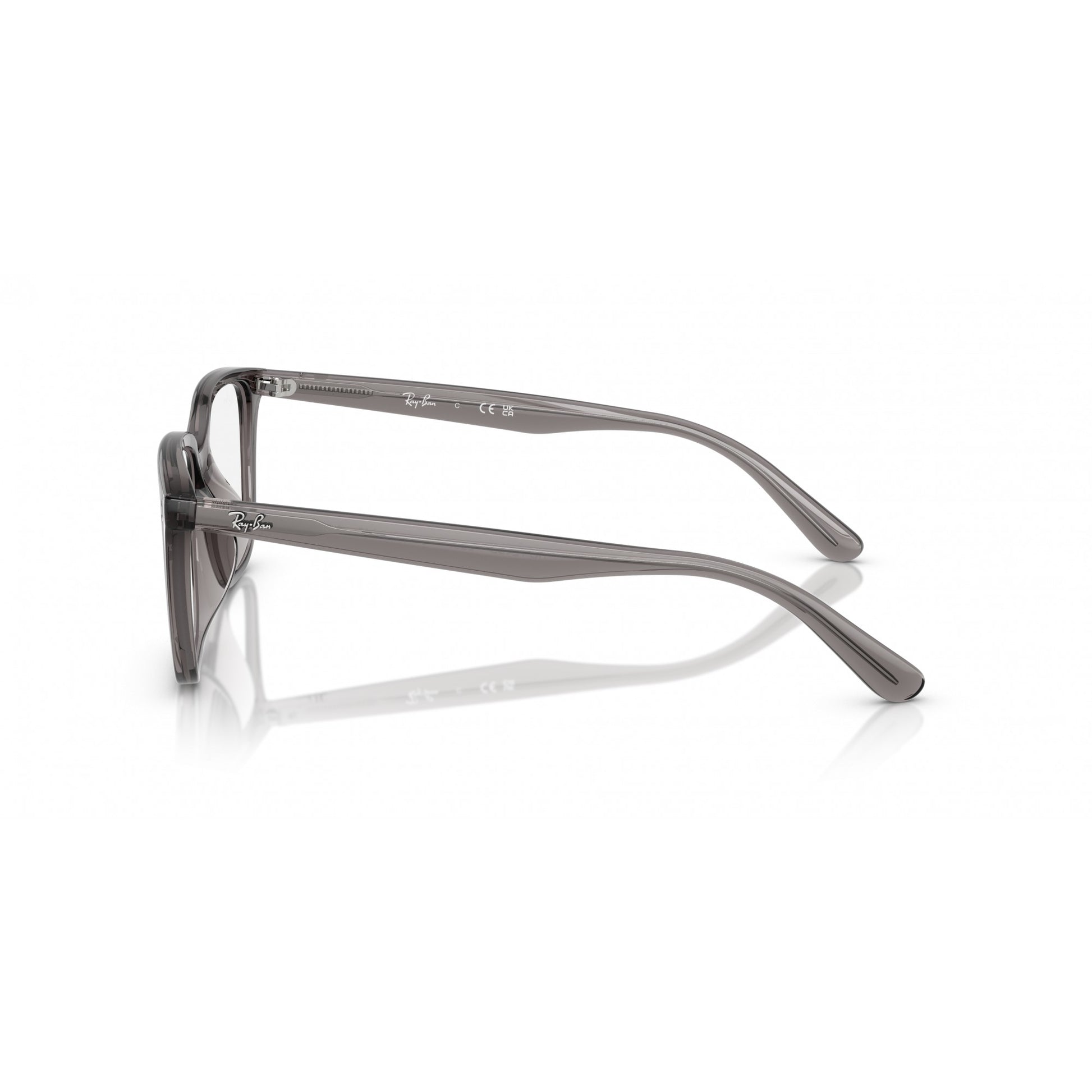Ray-Ban 0RX7248D