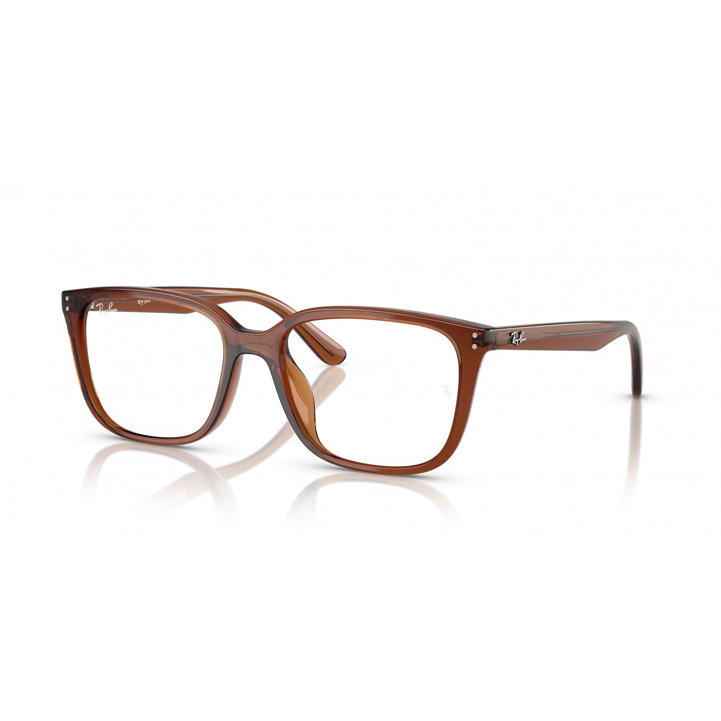 Ray-Ban 0RX7248D