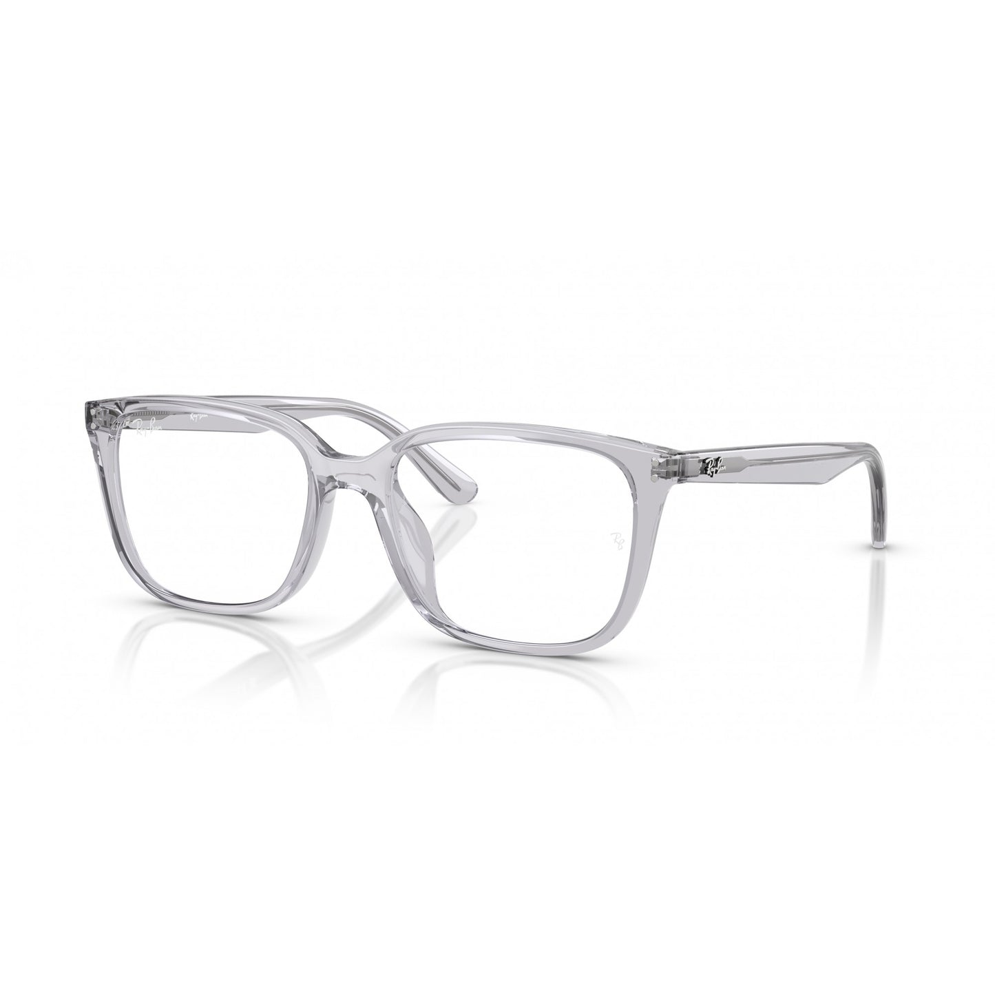 Ray-Ban 0RX7248D
