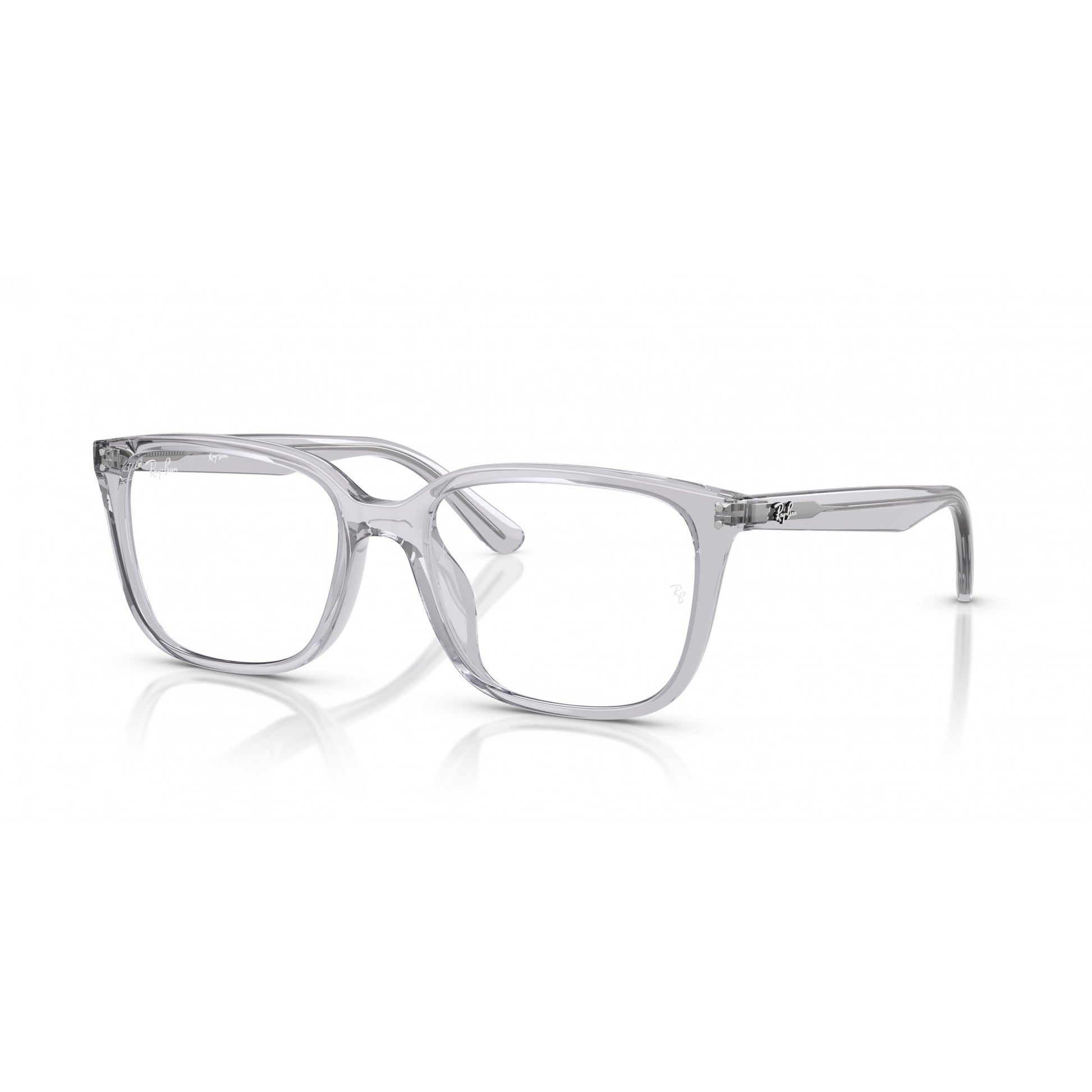 Ray-Ban 0RX7248D