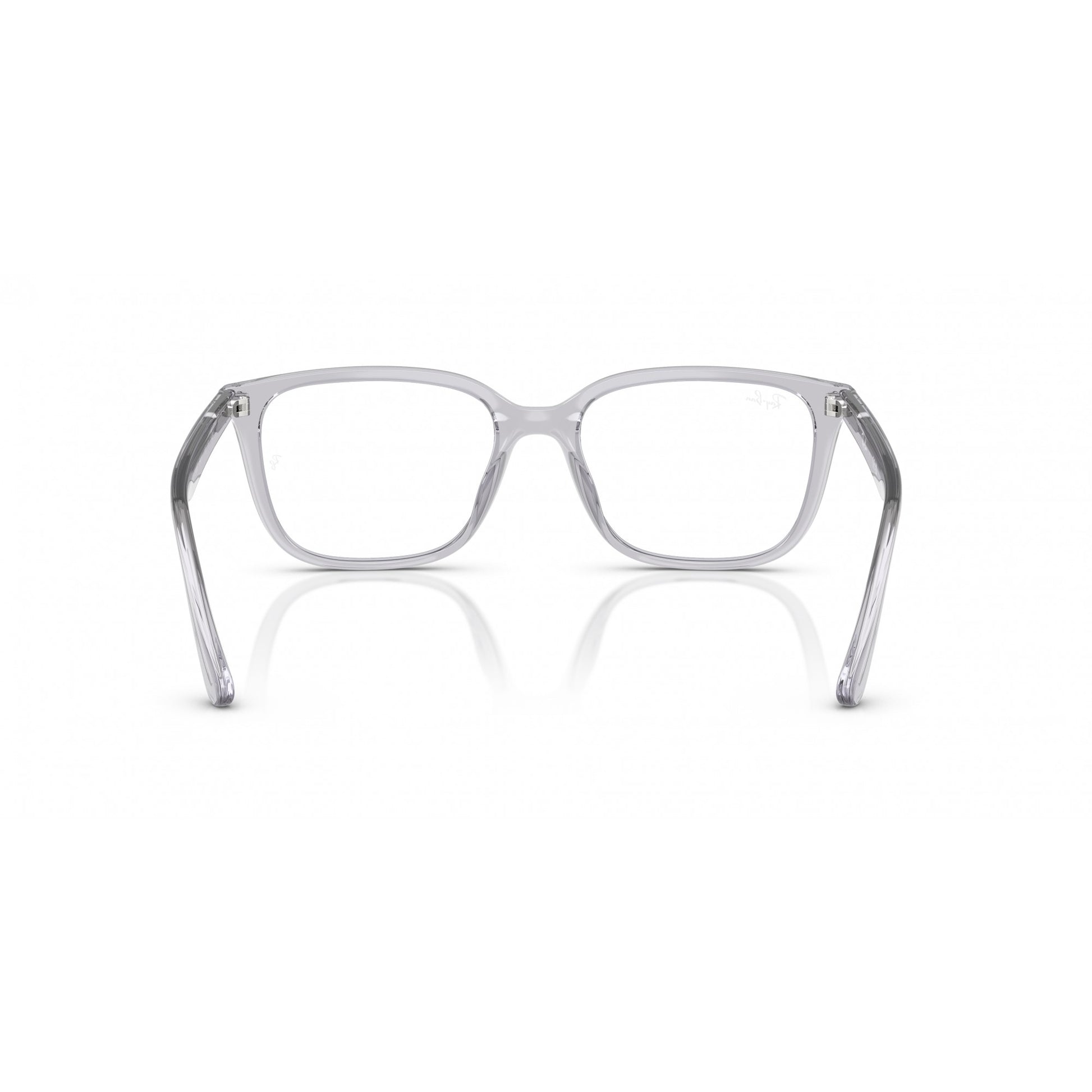 Ray-Ban 0RX7248D
