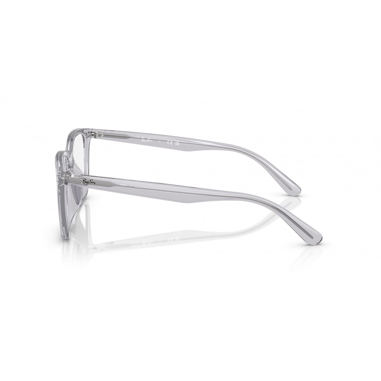 Ray-Ban 0RX7248D