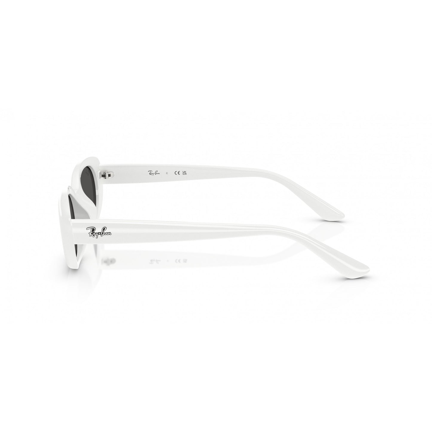 Ray-Ban 0RB4441D
