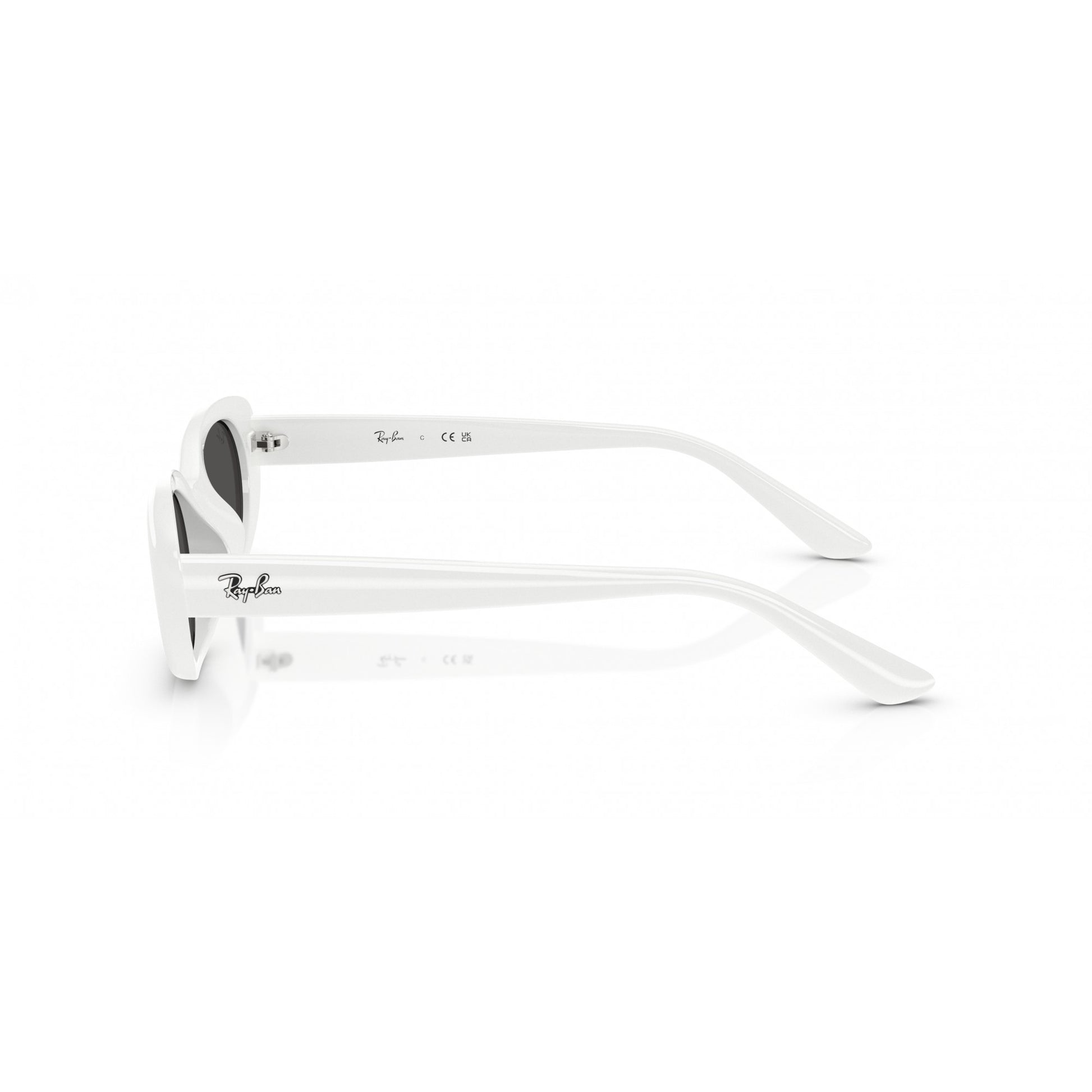 Ray-Ban 0RB4441D