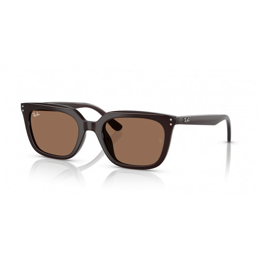 Ray-Ban 0RB4439D
