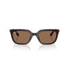 Ray-Ban 0RB4439D