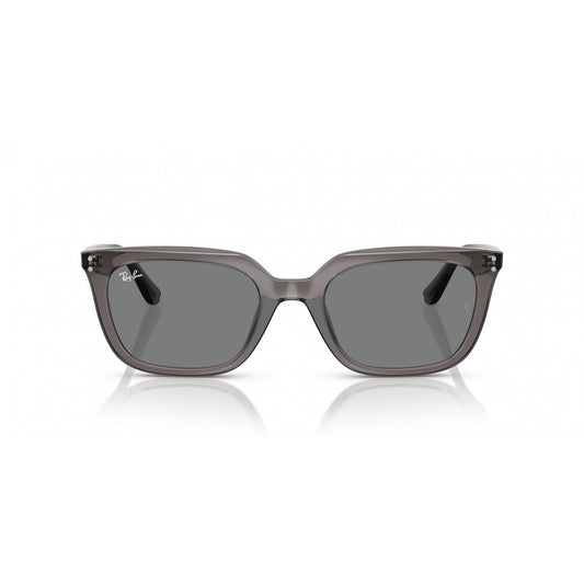Ray-Ban 0RB4439D